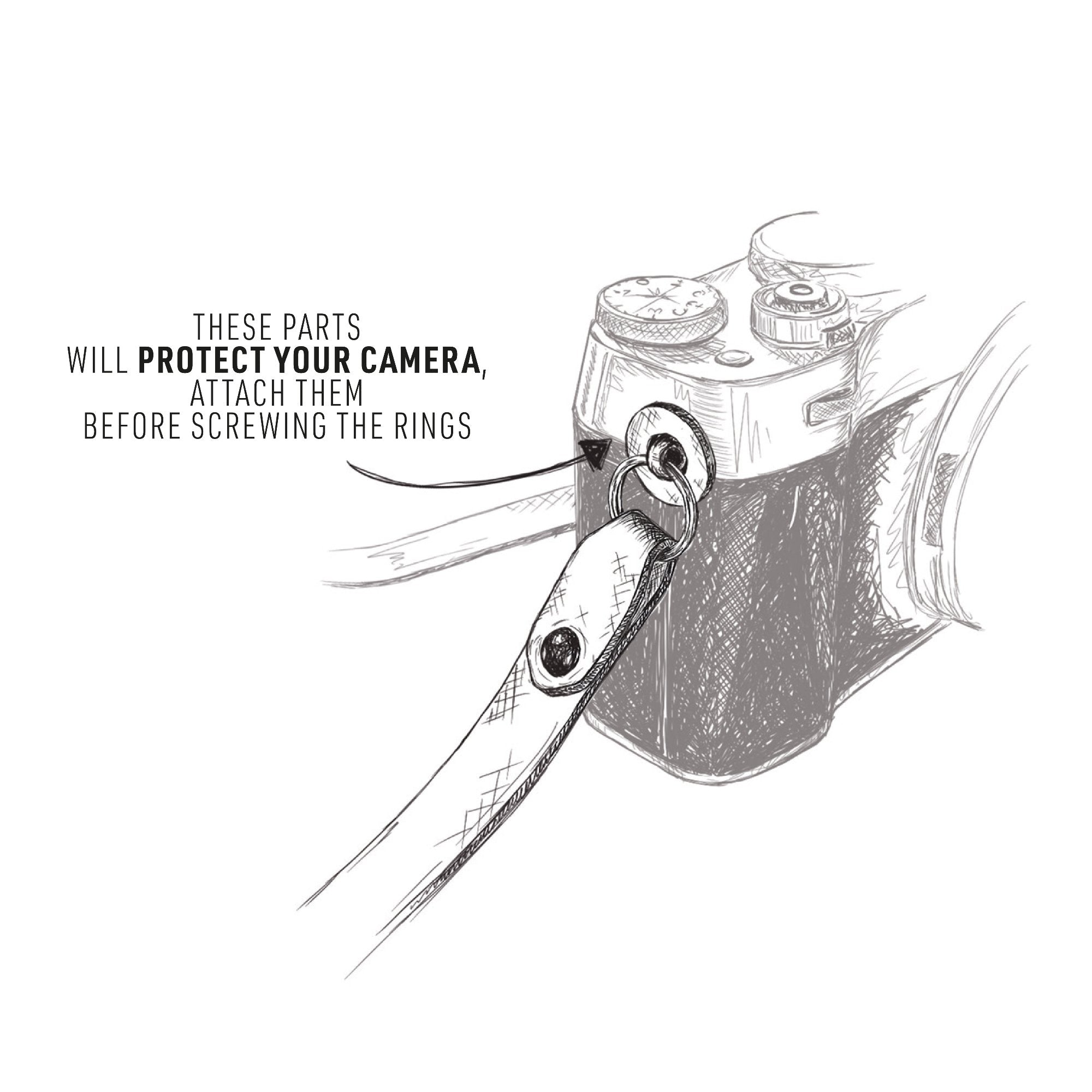 camerastrap_kalli-ocean-karla_graphic