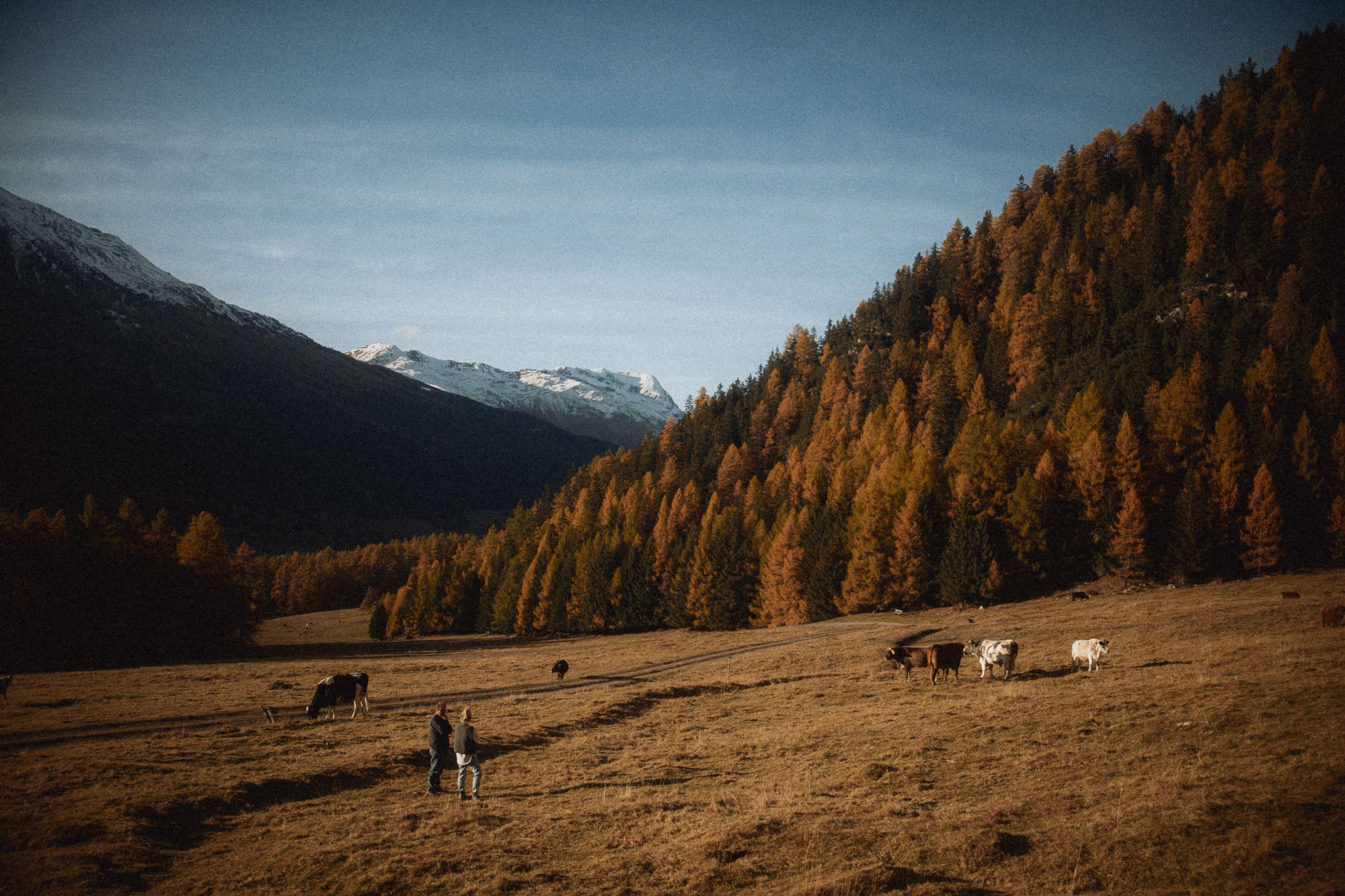 karlabags-lebenshof-magmir-01