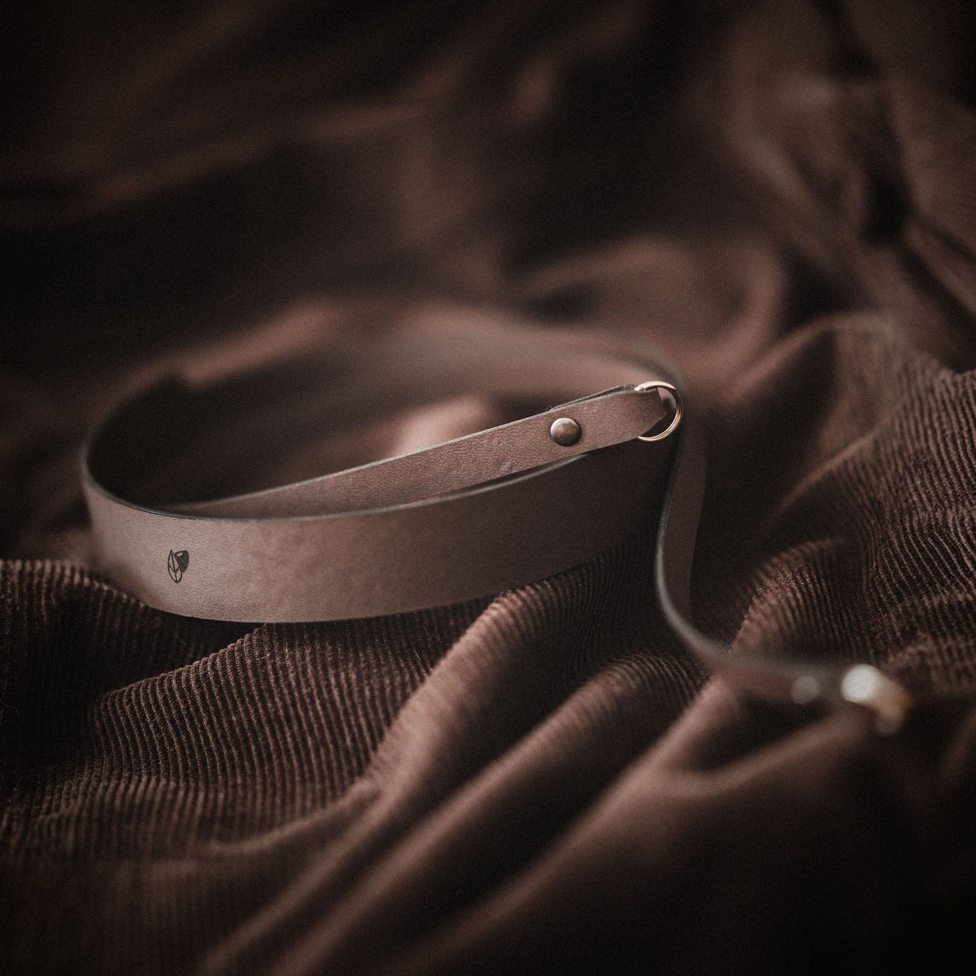 camerastrap_kalli-chocolate-karla_01