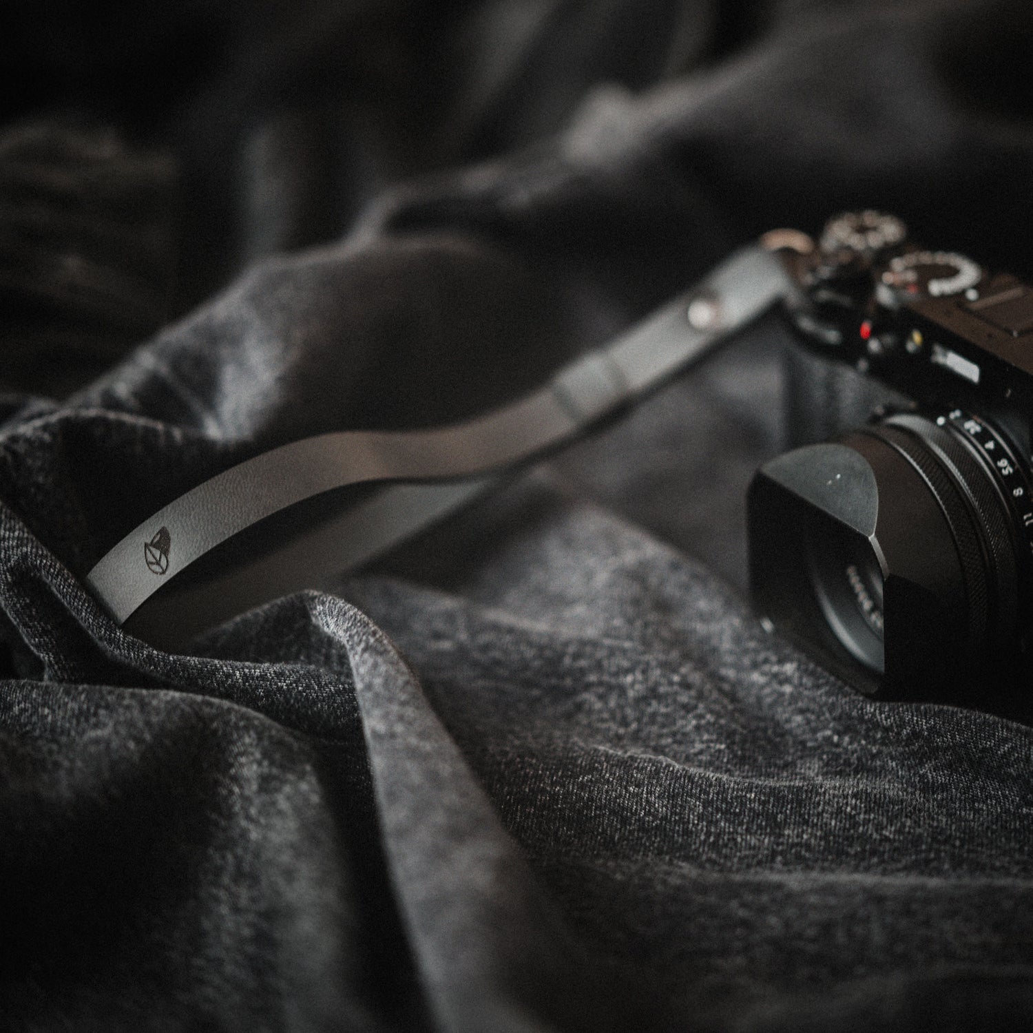 camerastrap_lotti-black-karla_01