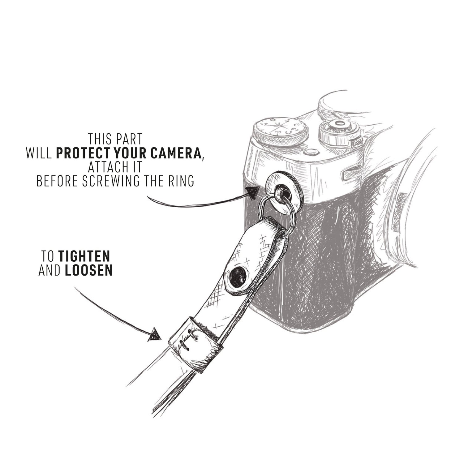 camerastrap_lotti-black-karla_graphic