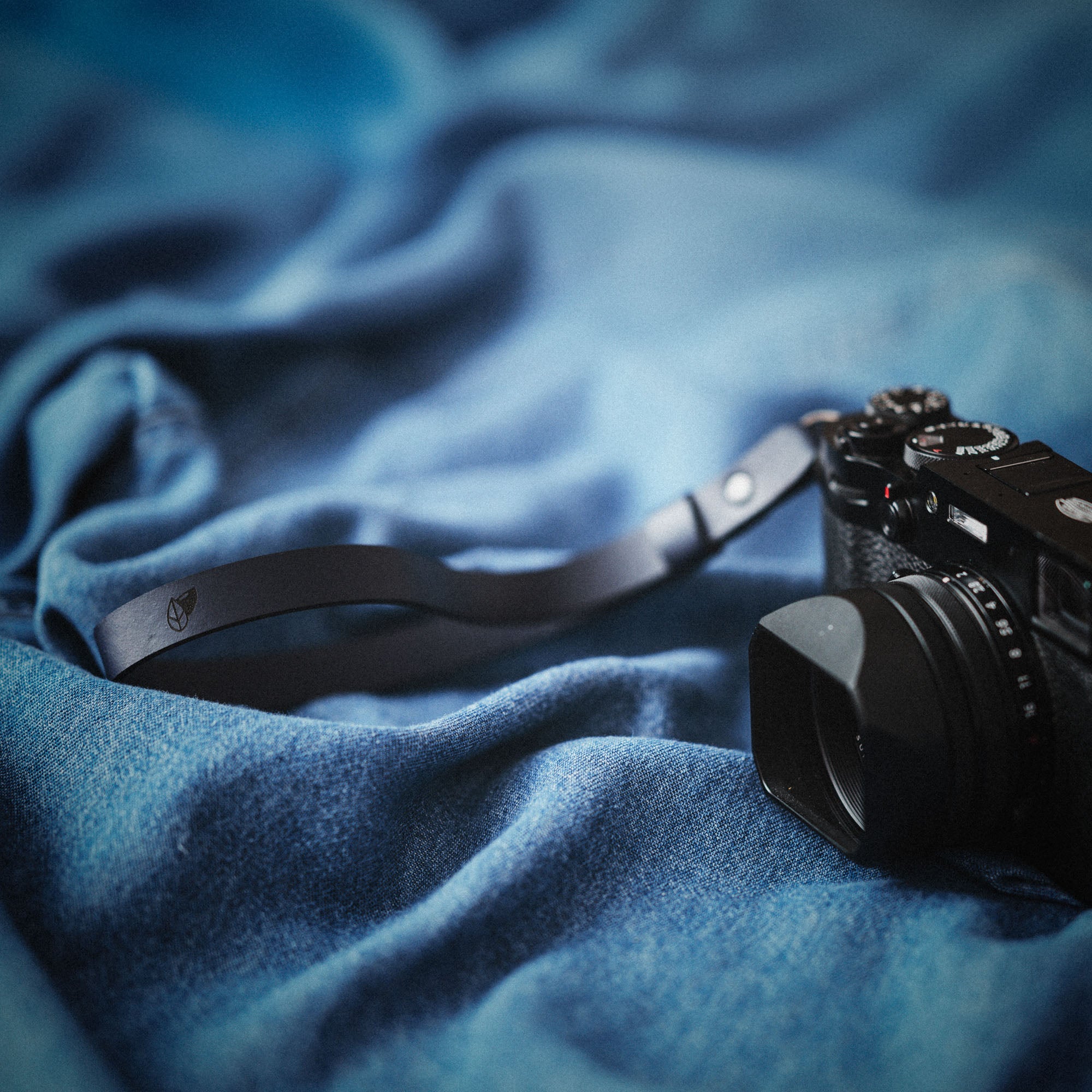 camerastrap_lotti-ocean-karla_01