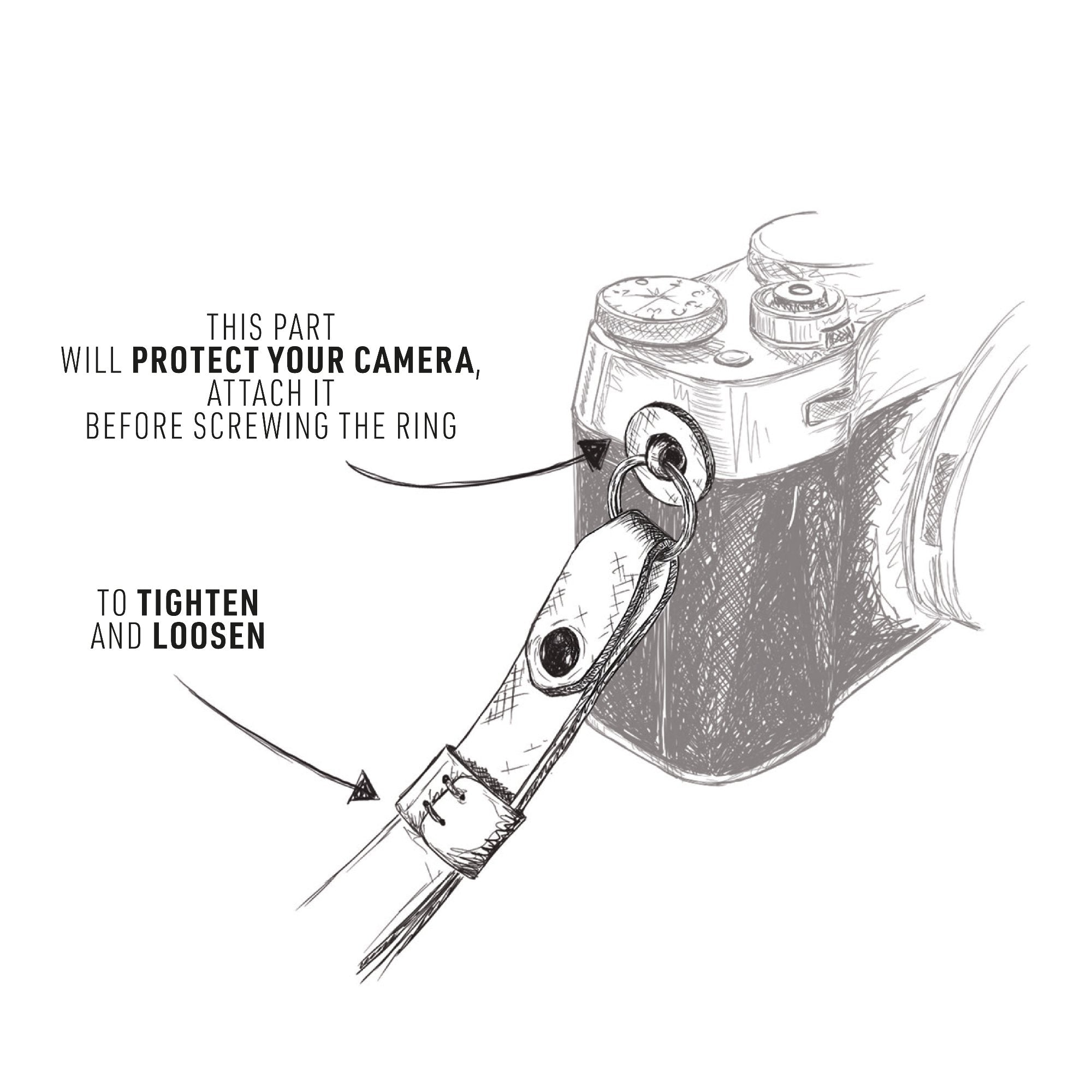 camerastrap_lotti-ocean-karla_graphic