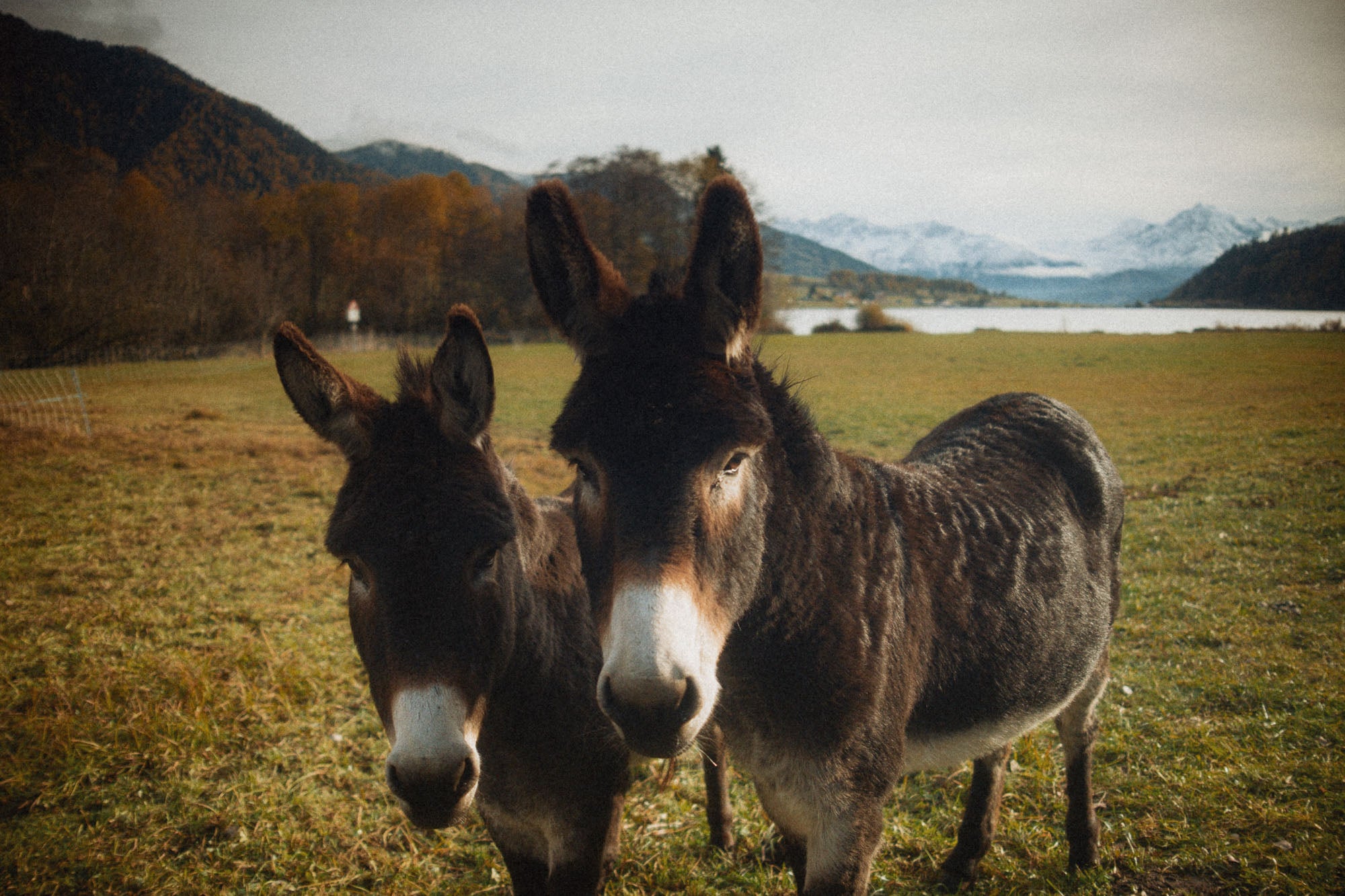 karla-lebenshof-magmir-07